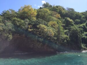 a body of water with trees and a cliff