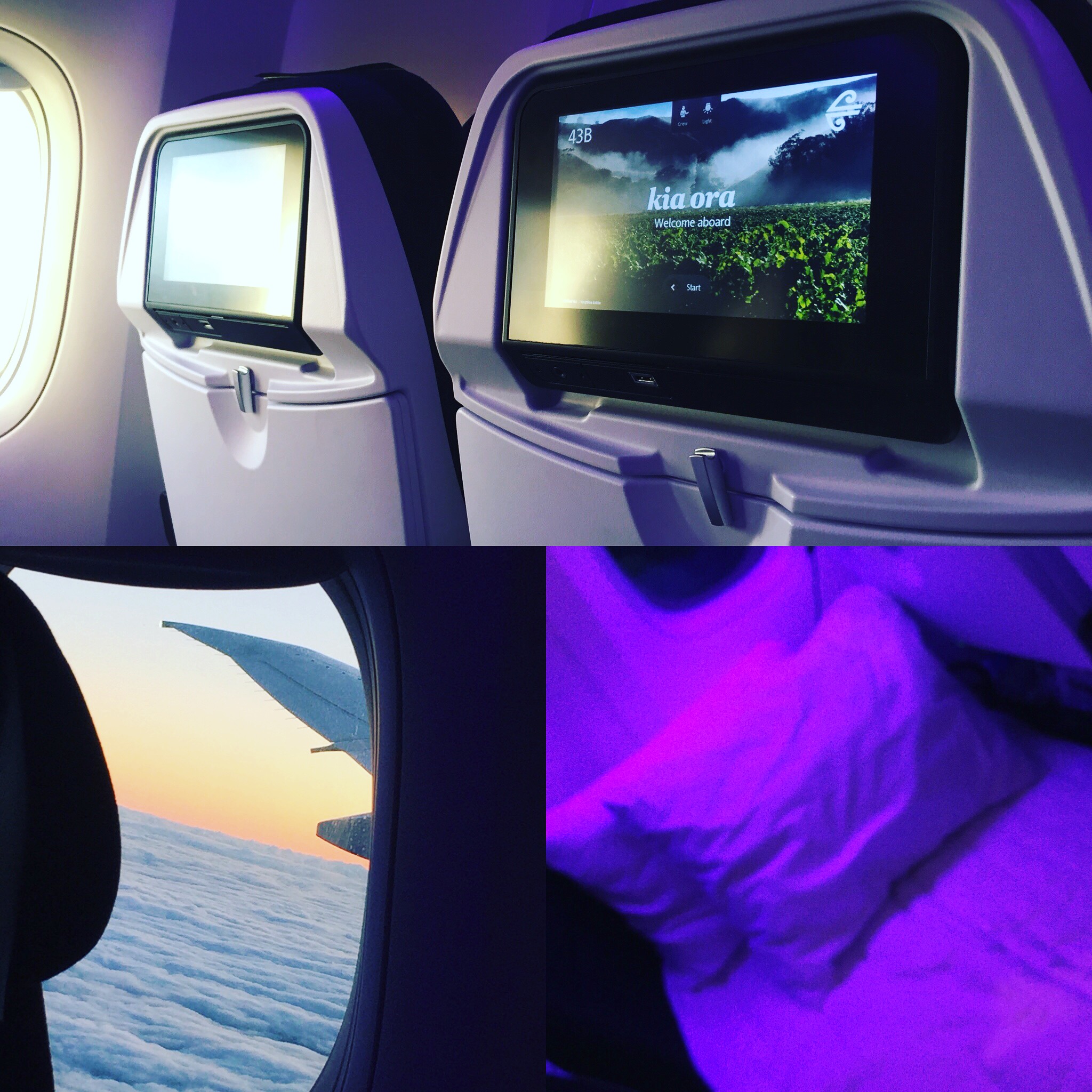 Air New Zealand Economy SkyCouch Review