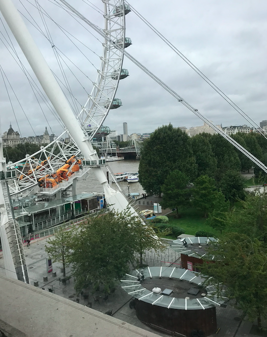 a ferris wheel with trees and a city in the background